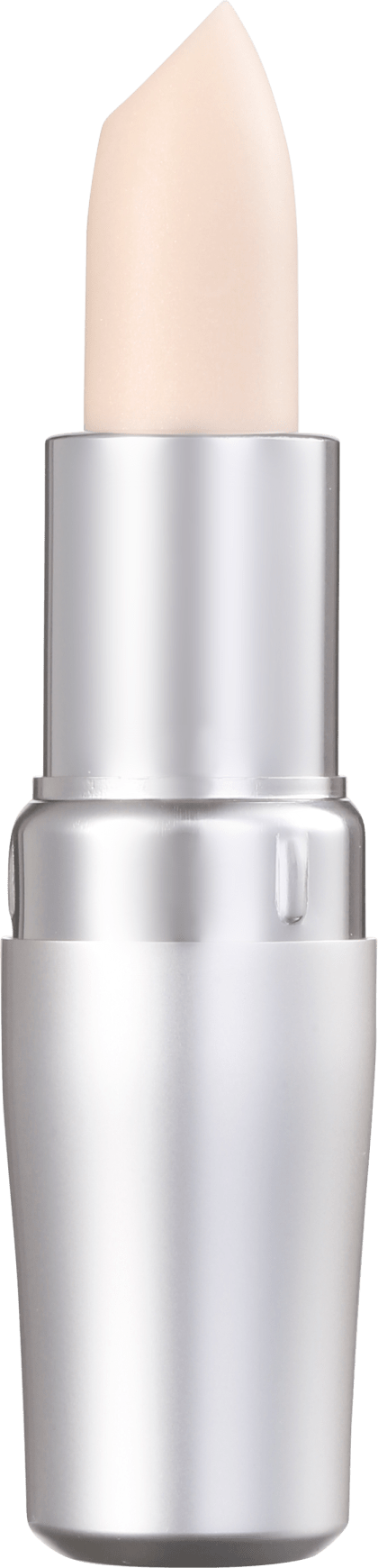 Shiseido Protective - Hidratante Labial 4g