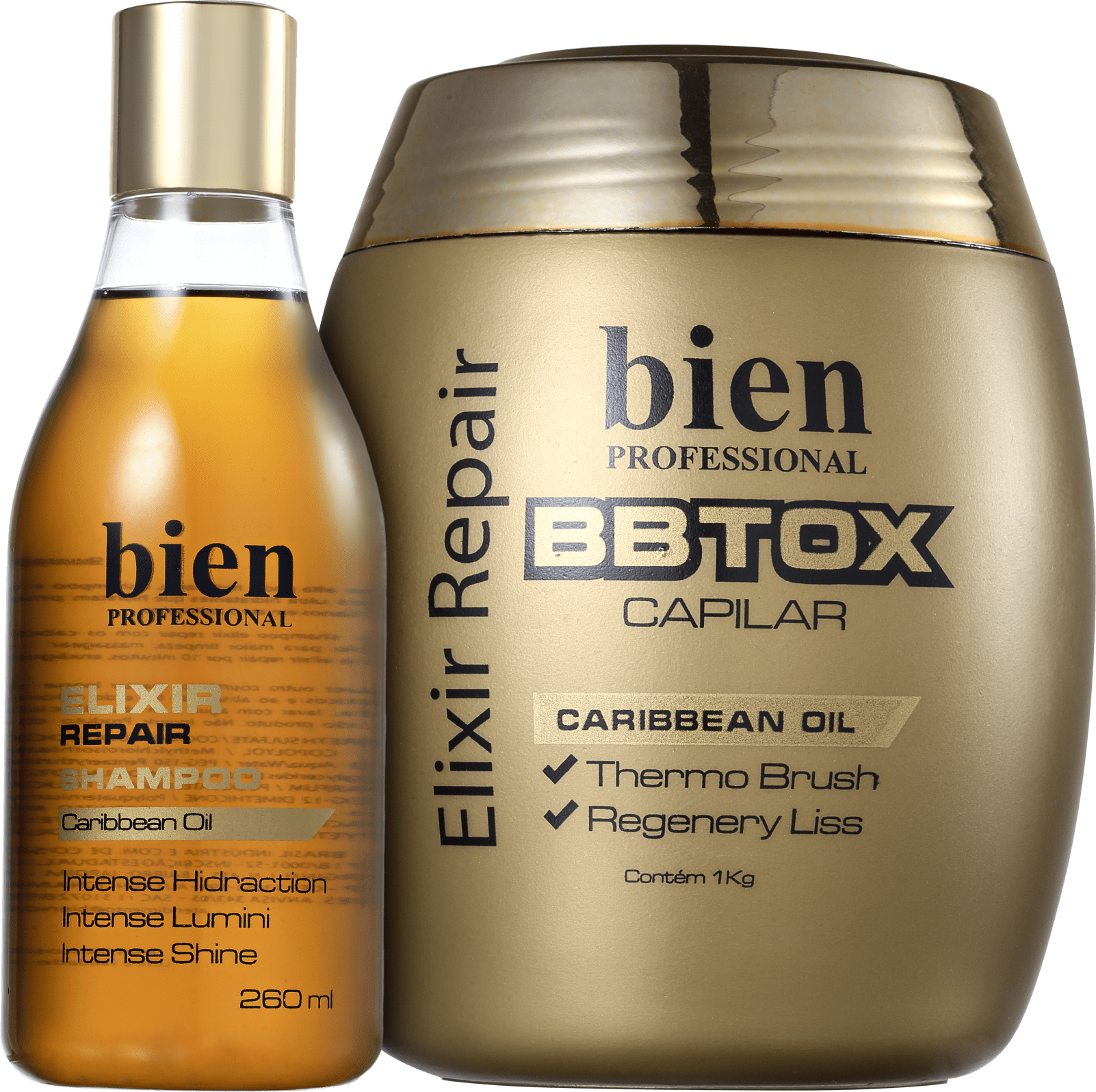 Bien Professional Elixir Repair Duo Kit (2 Produtos)