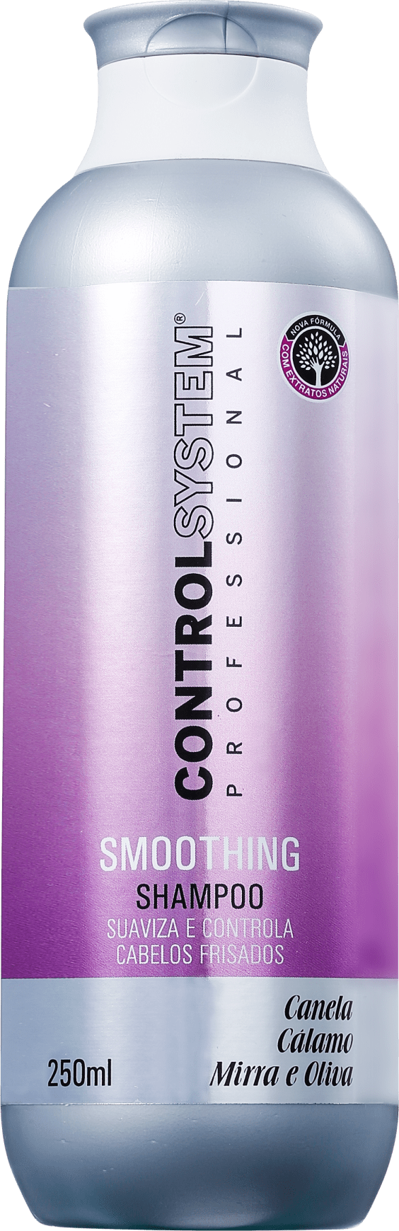 Control System Smoothing - Shampoo 250ml