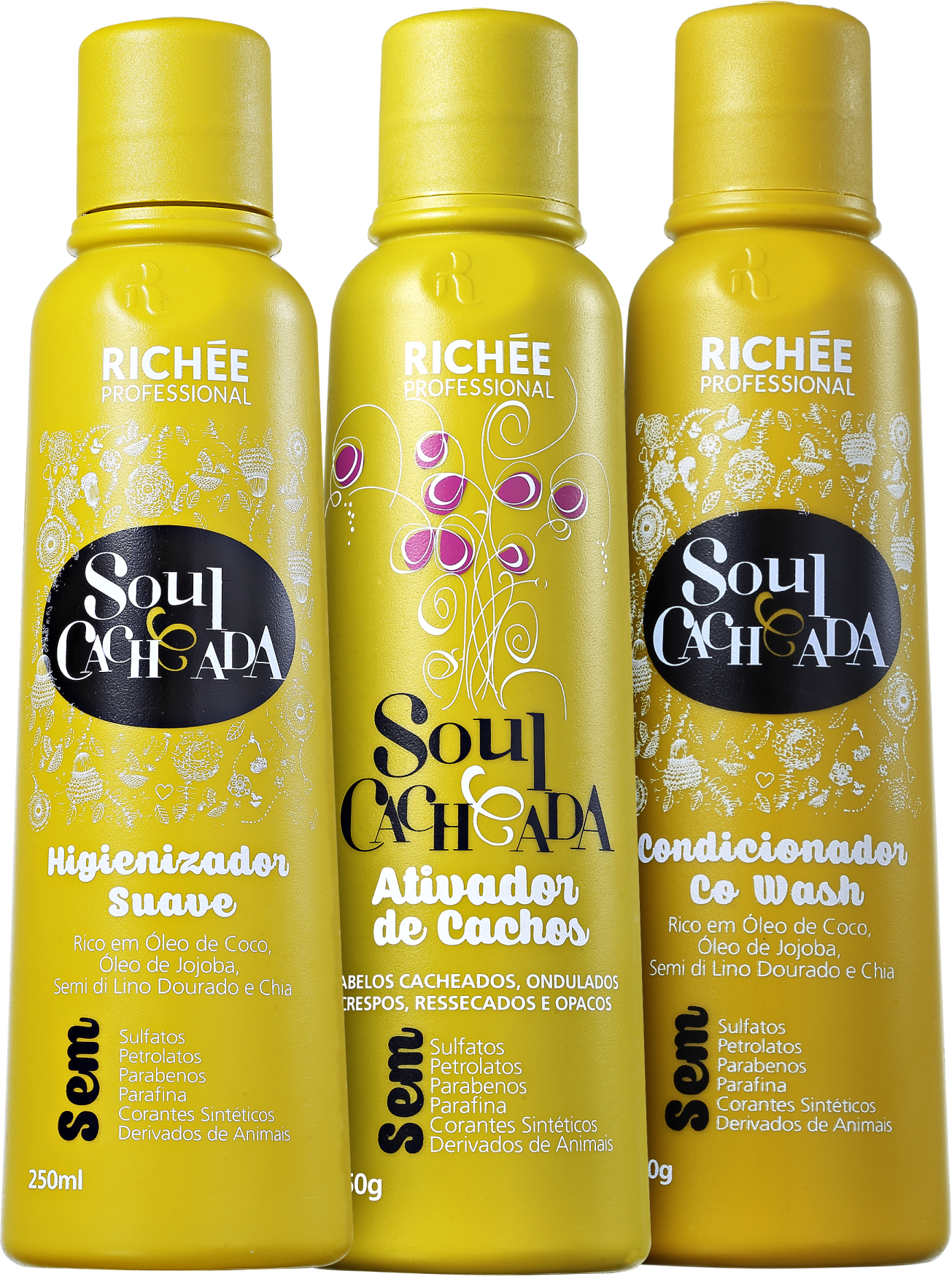 Richée Professional Soul Cacheada Kit (3 Produtos)