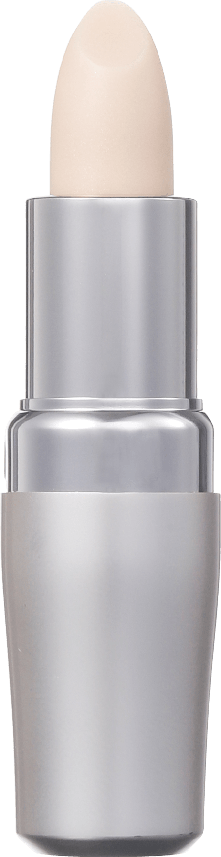 Shiseido The Skincare Protective FPS 10 - Protetor Labial 4g