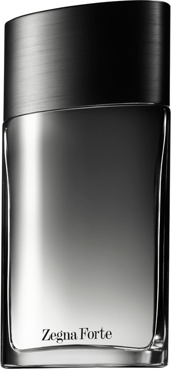 Zegna Forte Ermenegildo Zegna Eau de Toilette - Perfume Masculino 100ml