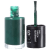 Maybelline Color Show 340 Green Movement - Esmalte Cremoso 10ml