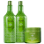 Kit Inoar Argan Oil Tratamento (3 produtos)