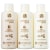 Mediterrani Oyster Repair Reconstrução Especial Kit (3 Produtos)