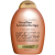 Organix Brazil Keratin Defrizz Shampoo-385ml