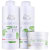 Wella Professionals Elements Renewing Trio Salon Kit (3 Produtos)