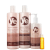Yellow Bloom Therapy Oil - Kit Completo (4 Produtos)