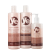 Yellow Bloom Therapy Oil - Trio Kit (3 Produtos)