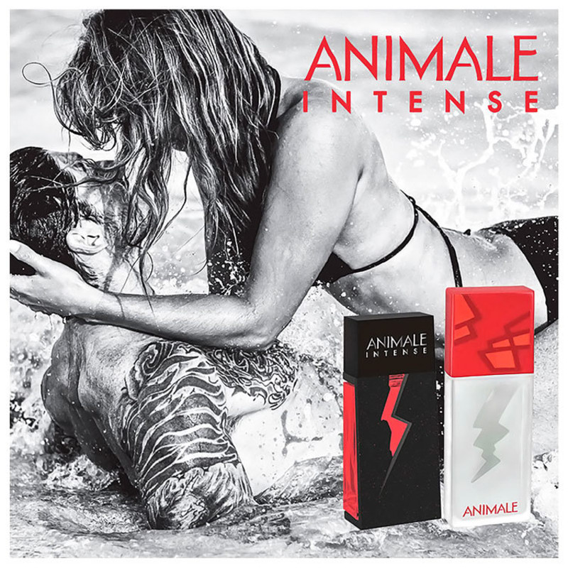 Animale Intense Eau de Parfum - Perfume Feminino 100ml
