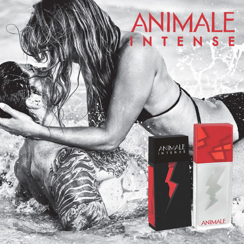 Animale Intense Eau de Parfum - Perfume Feminino 50ml