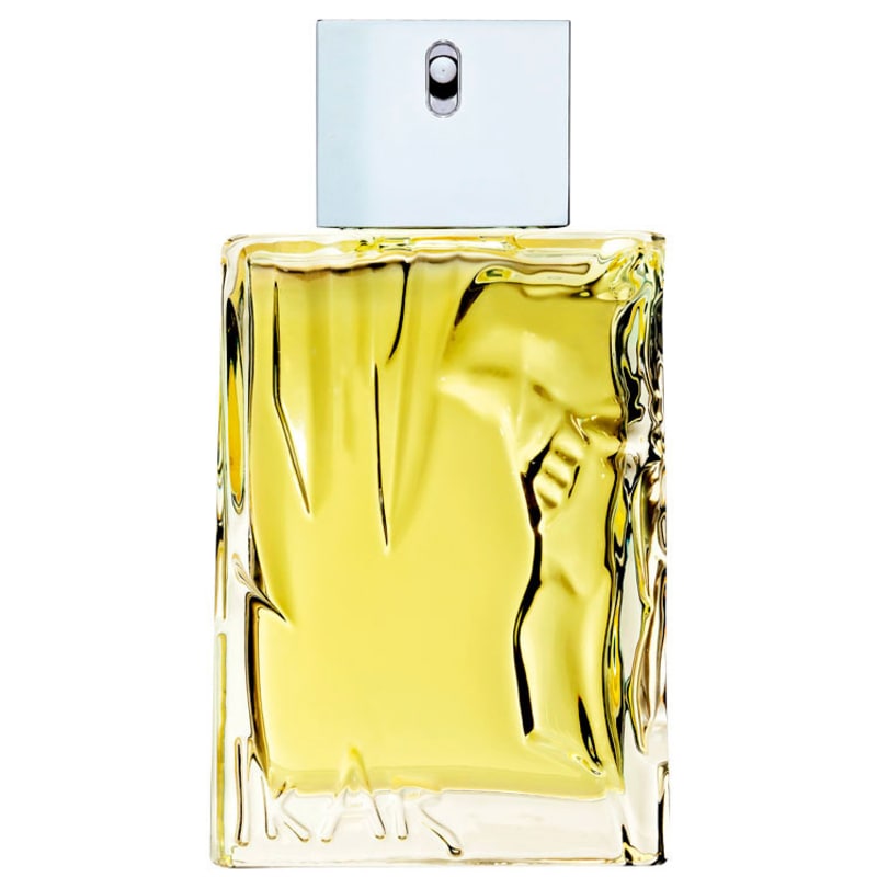 Eau d'Ikar Sisley Eau de Toilette - Perfume Masculino 50ml