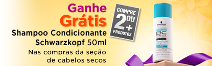 Cabelos Ressecados ou Secos