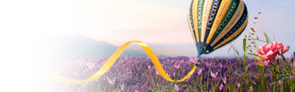 L'Occitane para Olhos