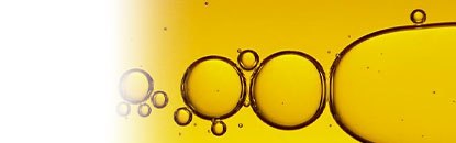 Óleo de Argan e Outros Óleos para Cabelos