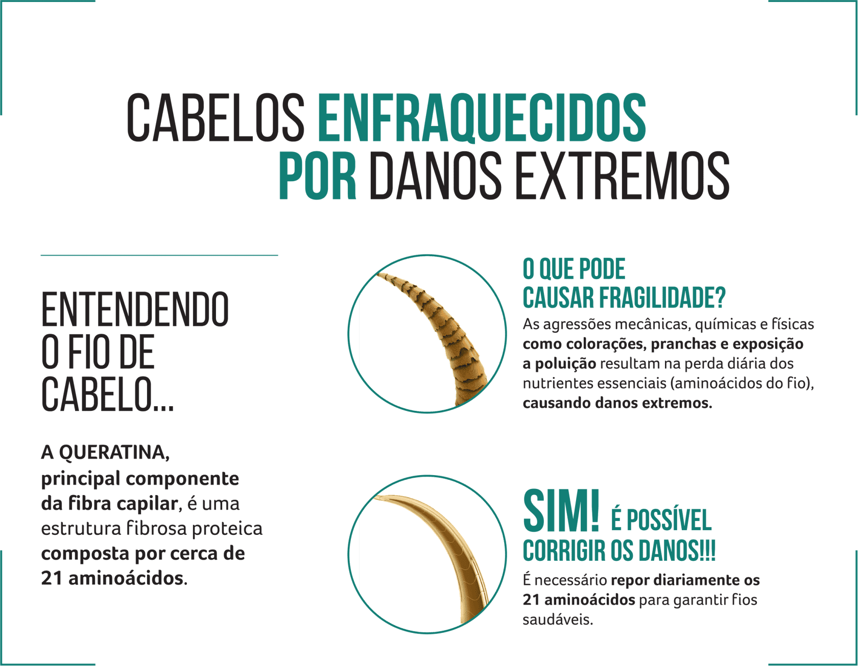 Kit Cadiveu Professional Sol do Rio Cuidado Diário (2 Produtos)