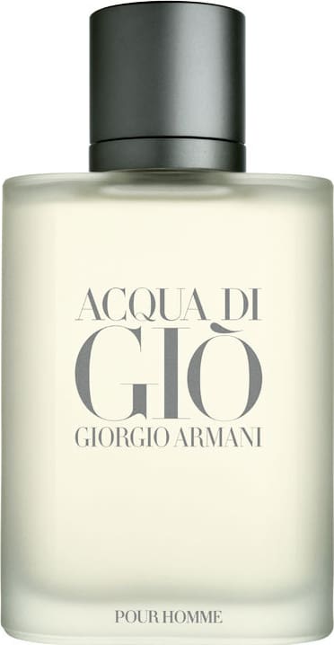 Acqua di Giò Pour Homme Giorgio Armani Eau de Toilette - Perfume Masculino 30ml