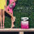 Blossom Jimmy Choo Eau de Parfum - Perfume Feminino 40ml