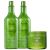Kit Inoar Argan Oil System Tratamento (3 Produtos)