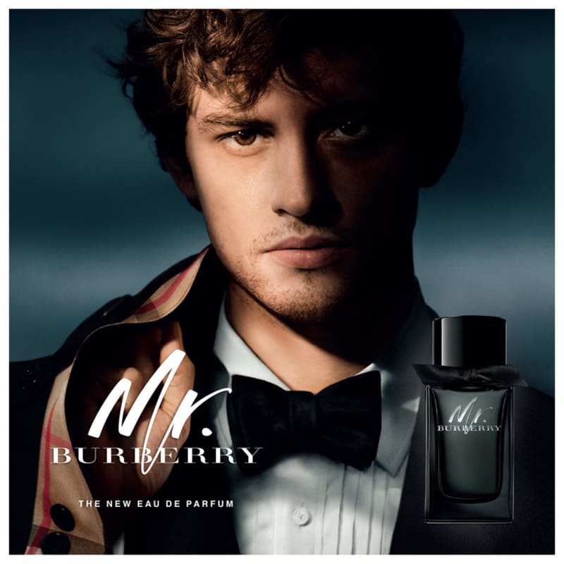 Mr. Burberry Eau de Parfum - Perfume Masculino 30ml